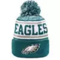 Philadelphia Eagles winter Knit Beanie